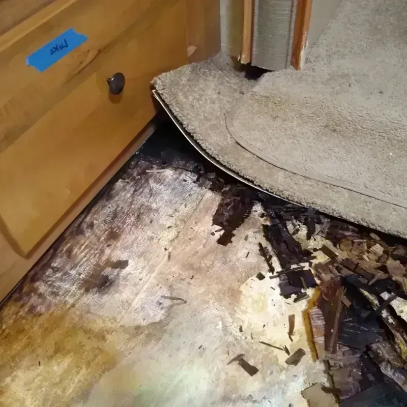 Wood Floor Water Damage in Northwood, OH